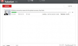 youtube视频怎么下载,视频内容摘要技巧